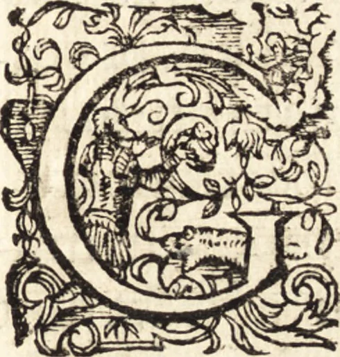 An illustration from Icones qvinqvaginta virorvm illustrium, doctrina & eruditione praestantium, 1597, leaf 476