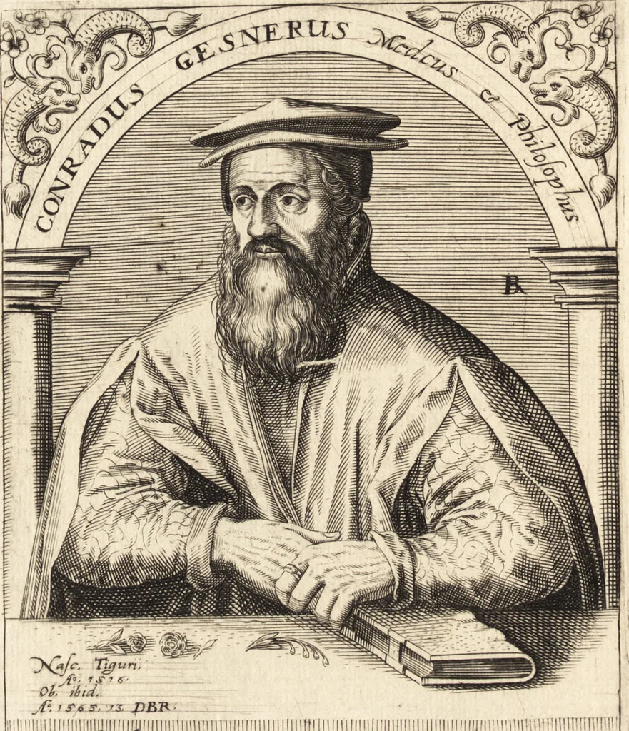 An illustration from Icones qvinqvaginta virorvm illustrium, doctrina & eruditione praestantium, 1597, leaf 489