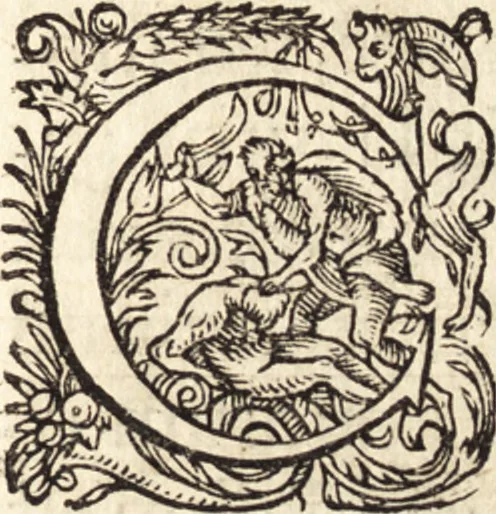 An illustration from Icones qvinqvaginta virorvm illustrium, doctrina & eruditione praestantium, 1597, leaf 490