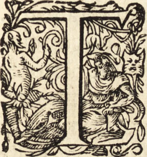An illustration from Icones qvinqvaginta virorvm illustrium, doctrina & eruditione praestantium, 1597, leaf 602