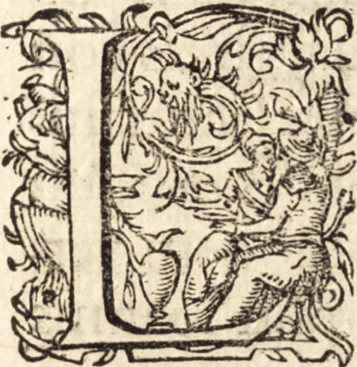 An illustration from Icones qvinqvaginta virorvm illustrium, doctrina & eruditione praestantium, 1597, leaf 614