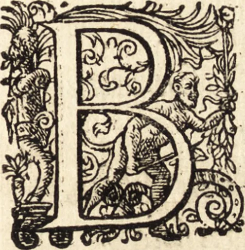 An illustration from Icones qvinqvaginta virorvm illustrium, doctrina & eruditione praestantium, 1597, leaf 622