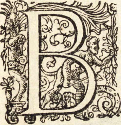 An illustration from Icones qvinqvaginta virorvm illustrium, doctrina & eruditione praestantium, 1597, leaf 626