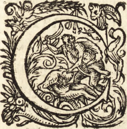 An illustration from Icones qvinqvaginta virorvm illustrium, doctrina & eruditione praestantium, 1597, leaf 628