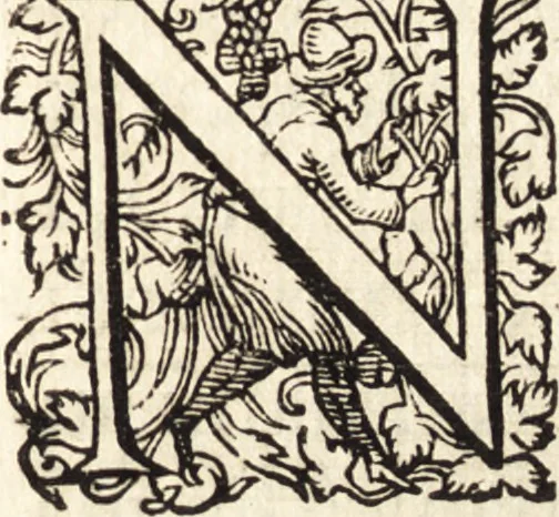 An illustration from Icones qvinqvaginta virorvm illustrium, doctrina & eruditione praestantium, 1597, leaf 642