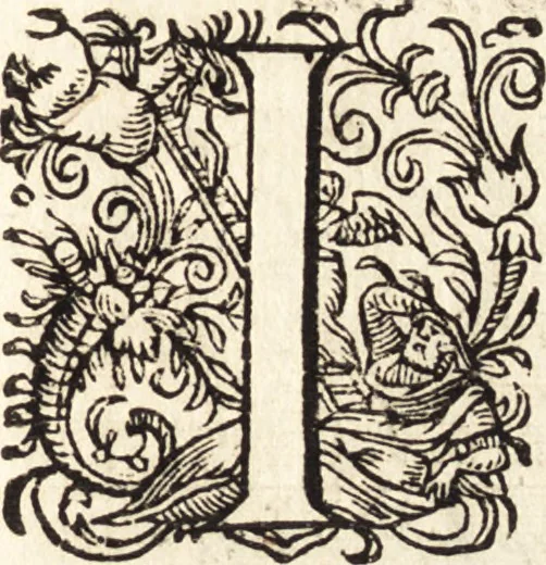 An illustration from Icones qvinqvaginta virorvm illustrium, doctrina & eruditione praestantium, 1597, leaf 646