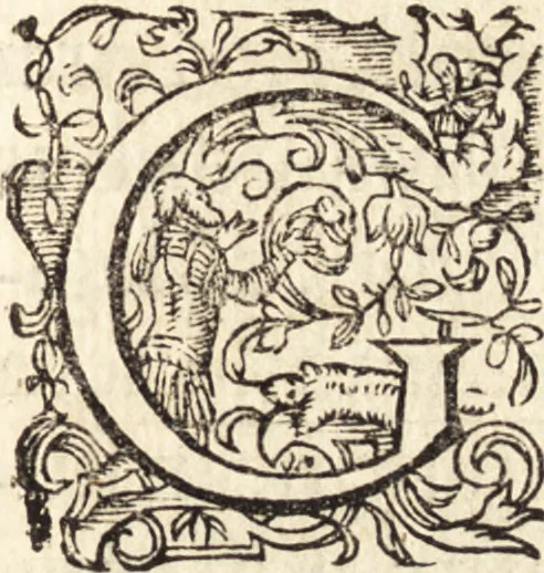 An illustration from Icones qvinqvaginta virorvm illustrium, doctrina & eruditione praestantium, 1597, leaf 666