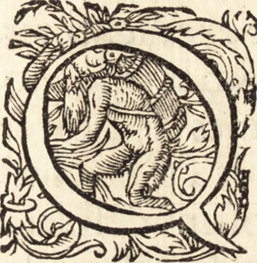 An illustration from Icones qvinqvaginta virorvm illustrium, doctrina & eruditione praestantium, 1597, leaf 678