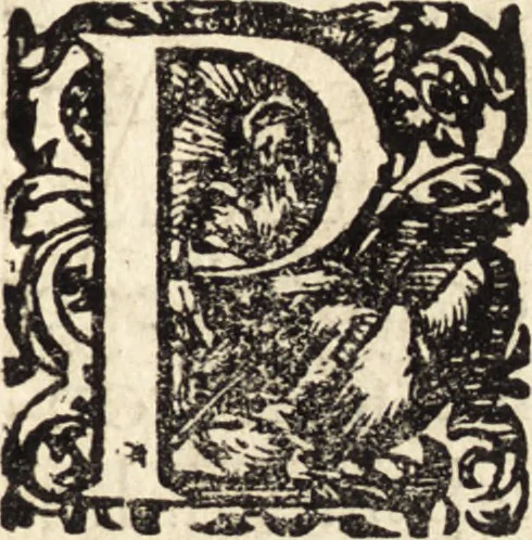 An illustration from Icones qvinqvaginta virorvm illustrium, doctrina & eruditione praestantium, 1597, leaf 80