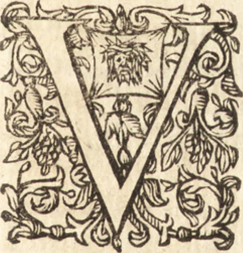 An illustration from I. LipsI Diva Virgo Hallensis : beneficia eius & miracvla fide atque ordine descripta, 1605, leaf 100