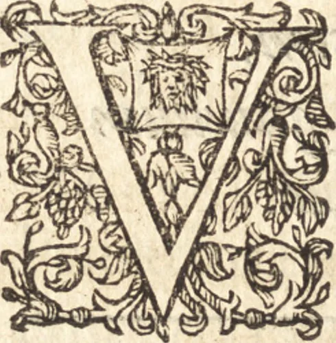 An illustration from I. LipsI Diva Virgo Hallensis : beneficia eius & miracvla fide atque ordine descripta, 1605, leaf 97
