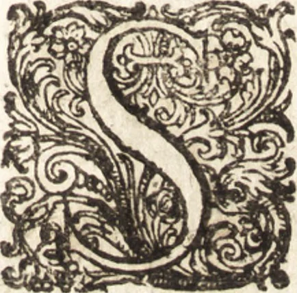 An illustration from Illustratio sacri patrimonii, seu, De bonis et possessionibus ecclesiarum : vbi agitur de veteris & nouae legis sacerdotum censibus, origine & fundatione oratoriorum, parochiarum, episcopatuum, monasteriorum, ecclesiae seruis, mancipijs, colonis, casatis, libertis, mansis, praedijs, decimis, oblationibus, primitijs iuribus episcoporum & sacerdotum, 1636, leaf 150