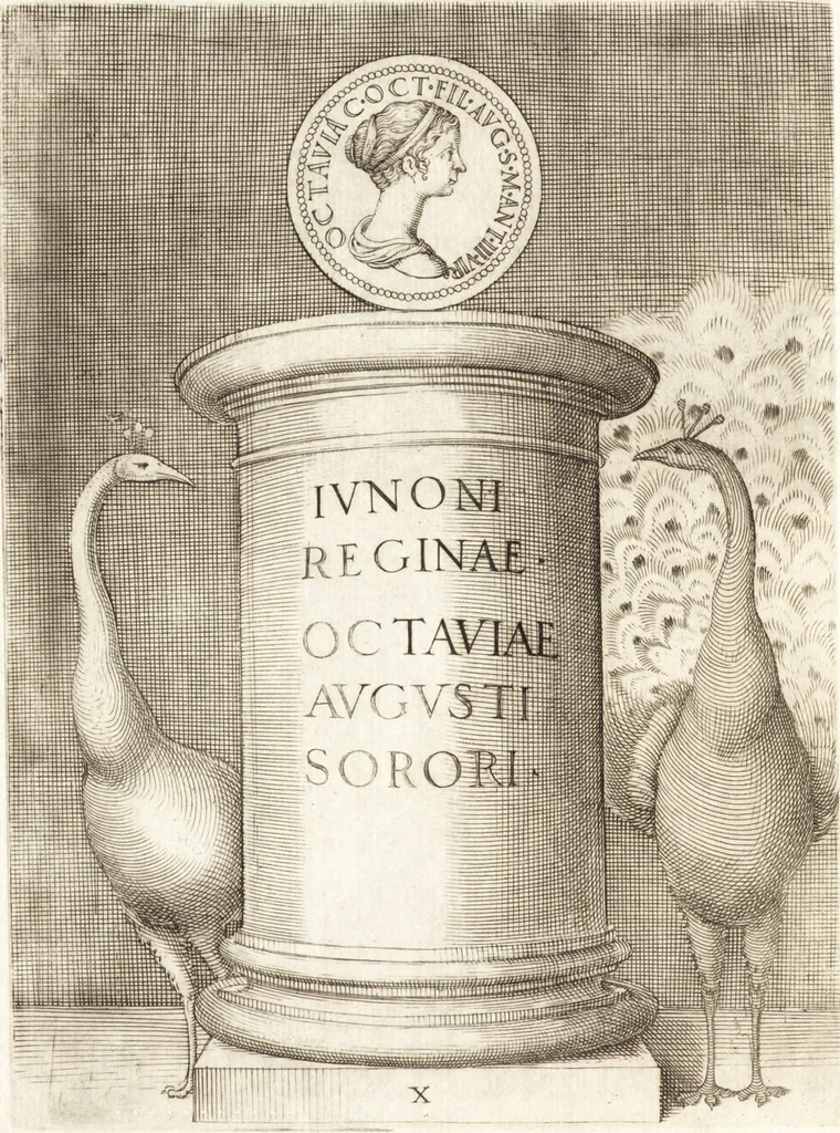 An illustration from Le imagini delle donne avgvste intagliate in istampa di rame : con le vite, et ispositioni di Enea Vico : sopra i riversi delle loro medaglie antiche, 1557, leaf 47