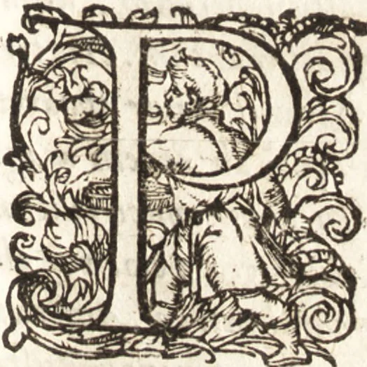 An illustration from Iordanvs Brvnvs nolanvs De vmbris idearvm : implicantibus artem quaerendi, inueniendi, iudicandi, ordinandi, & applicandi : ad internam scripturam, & non vulgares per memoriam operationes explicatis, 1582, leaf 12