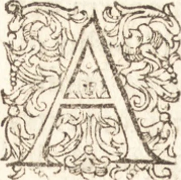 An illustration from Iordanvs Brvnvs nolanvs De vmbris idearvm : implicantibus artem quaerendi, inueniendi, iudicandi, ordinandi, & applicandi : ad internam scripturam, & non vulgares per memoriam operationes explicatis, 1582, leaf 145