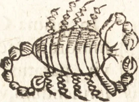 An illustration from Iordanvs Brvnvs nolanvs De vmbris idearvm : implicantibus artem quaerendi, inueniendi, iudicandi, ordinandi, & applicandi : ad internam scripturam, & non vulgares per memoriam operationes explicatis, 1582, leaf 187