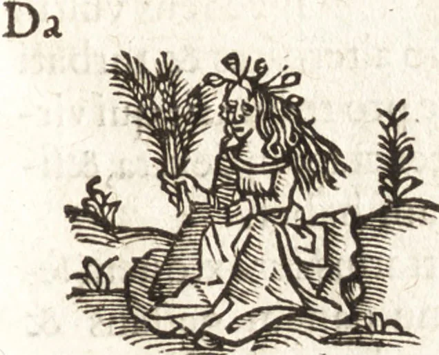 An illustration from Iordanvs Brvnvs nolanvs De vmbris idearvm : implicantibus artem quaerendi, inueniendi, iudicandi, ordinandi, & applicandi : ad internam scripturam, & non vulgares per memoriam operationes explicatis, 1582, leaf 188