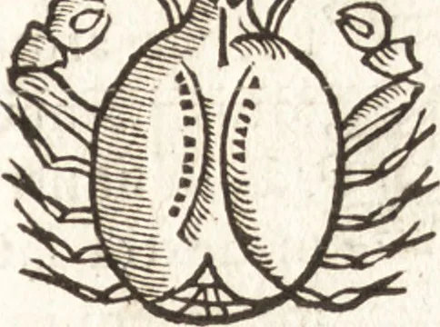 An illustration from Iordanvs Brvnvs nolanvs De vmbris idearvm : implicantibus artem quaerendi, inueniendi, iudicandi, ordinandi, & applicandi : ad internam scripturam, & non vulgares per memoriam operationes explicatis, 1582, leaf 190