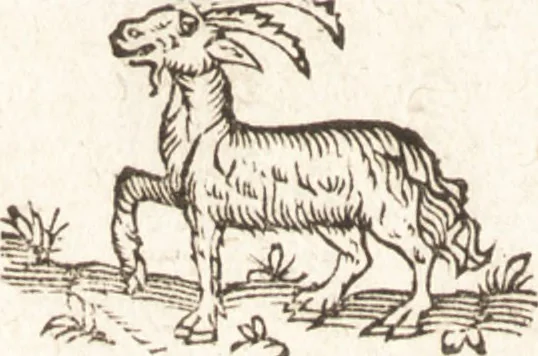 An illustration from Iordanvs Brvnvs nolanvs De vmbris idearvm : implicantibus artem quaerendi, inueniendi, iudicandi, ordinandi, & applicandi : ad internam scripturam, & non vulgares per memoriam operationes explicatis, 1582, leaf 191
