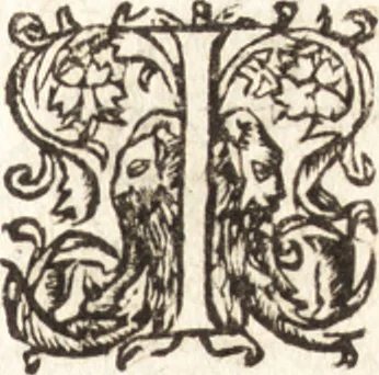 An illustration from Iordanvs Brvnvs nolanvs De vmbris idearvm : implicantibus artem quaerendi, inueniendi, iudicandi, ordinandi, & applicandi : ad internam scripturam, & non vulgares per memoriam operationes explicatis, 1582, leaf 218