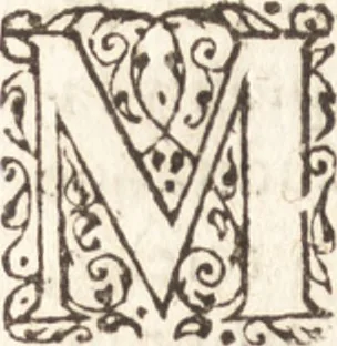 An illustration from Iordanvs Brvnvs nolanvs De vmbris idearvm : implicantibus artem quaerendi, inueniendi, iudicandi, ordinandi, & applicandi : ad internam scripturam, & non vulgares per memoriam operationes explicatis, 1582, leaf 223