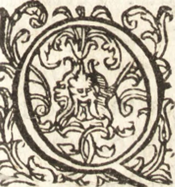 An illustration from Iordanvs Brvnvs nolanvs De vmbris idearvm : implicantibus artem quaerendi, inueniendi, iudicandi, ordinandi, & applicandi : ad internam scripturam, & non vulgares per memoriam operationes explicatis, 1582, leaf 226