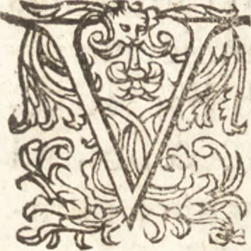 An illustration from Iordanvs Brvnvs nolanvs De vmbris idearvm : implicantibus artem quaerendi, inueniendi, iudicandi, ordinandi, & applicandi : ad internam scripturam, & non vulgares per memoriam operationes explicatis, 1582, leaf 229