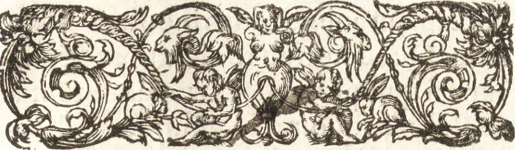 An illustration from Iordanvs Brvnvs nolanvs De vmbris idearvm : implicantibus artem quaerendi, inueniendi, iudicandi, ordinandi, & applicandi : ad internam scripturam, & non vulgares per memoriam operationes explicatis, 1582, leaf 84