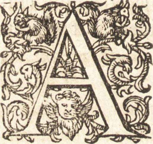 An illustration from Ivsti LipsI Admiranda, siue, De magnitvdine Romana libri qvattvor, 1605, leaf 105