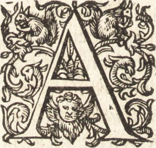An illustration from Ivsti LipsI Admiranda, siue, De magnitvdine Romana libri qvattvor, 1605, leaf 175