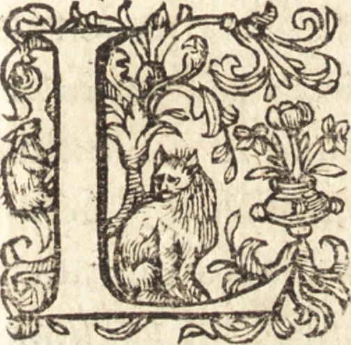 An illustration from Ivsti LipsI Admiranda, siue, De magnitvdine Romana libri qvattvor, 1605, leaf 46