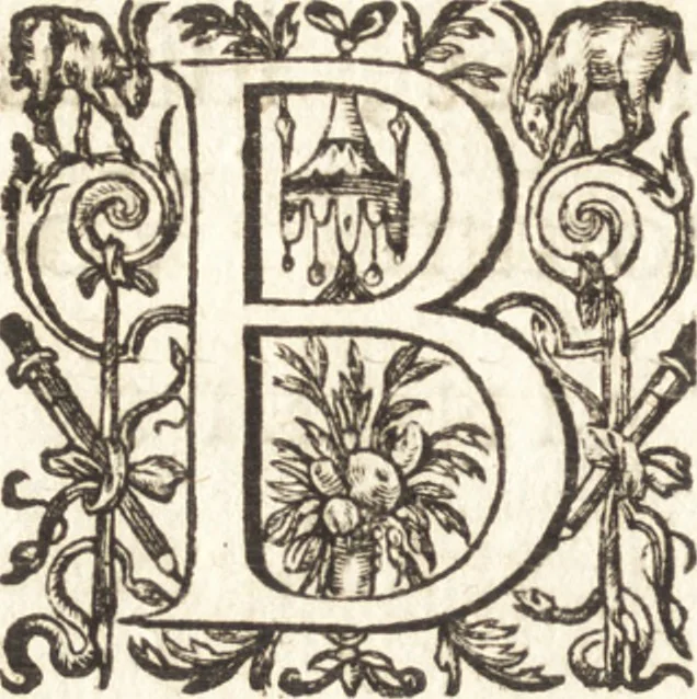An illustration from Ivsti LipsI de bibliothecis syntagma, 1607, leaf 11