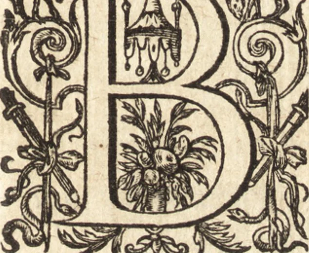 An illustration from Ivsti LipsI de bibliothecis syntagma, 1607, leaf 12