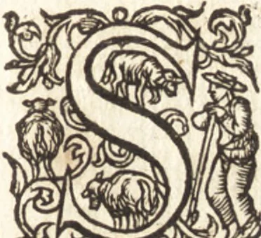 An illustration from Ivsti LipsI de crvce libri tres : ad sacram profanámque historiam vtiles : vnà cum notis, 1606, leaf 10
