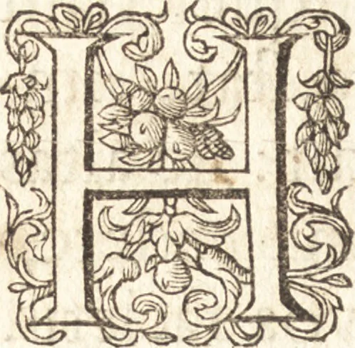 An illustration from Ivsti LipsI de crvce libri tres : ad sacram profanámque historiam vtiles : vnà cum notis, 1606, leaf 9