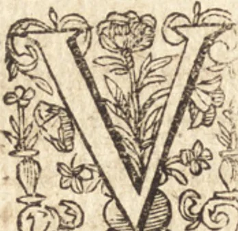 An illustration from Ivsti LipsI de crvce libri tres : ad sacram profanámque historiam vtiles : vnà cum notis, 1606, leaf 95