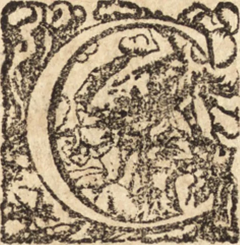 An illustration from Ivsti LipsI De militia Romana libri qvinqve : commentarivs ad Polybivm, 1602, leaf 16