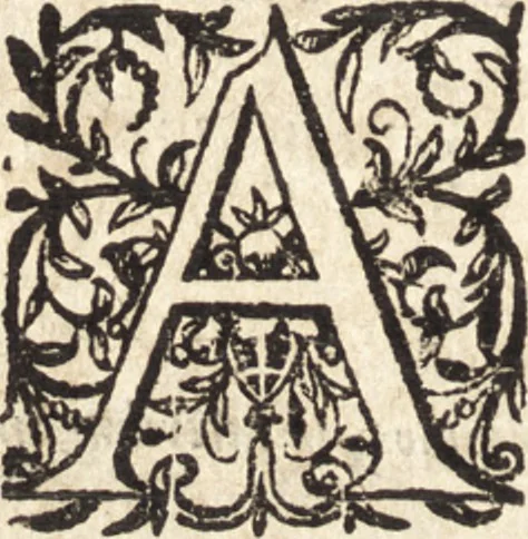 An illustration from Ivsti LipsI De militia Romana libri qvinqve : commentarivs ad Polybivm, 1602, leaf 221
