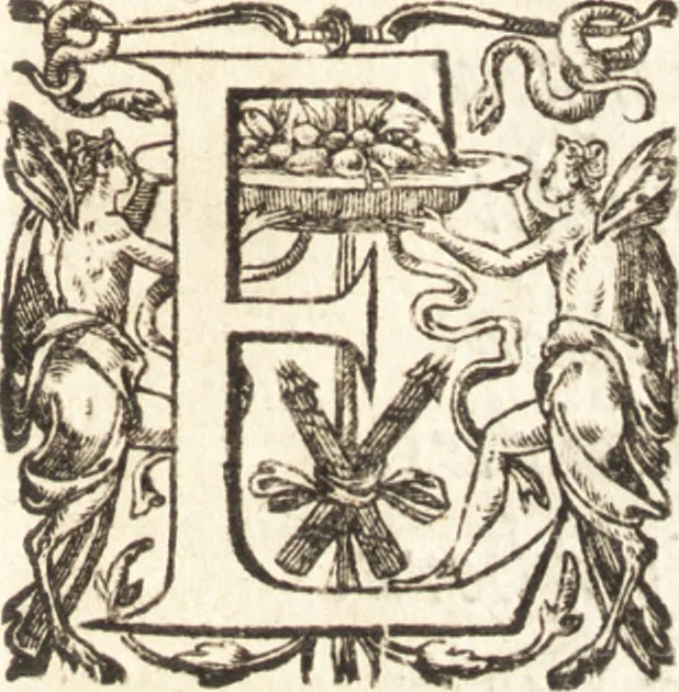 An illustration from Ivsti LipsI Diva Sichemiensis, siue, Aspricollis : noua eius beneficia & admiranda, 1606, leaf 12