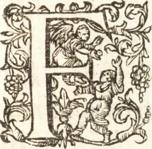 An illustration from Ivsti LipsI Diva Sichemiensis, siue, Aspricollis : noua eius beneficia & admiranda, 1606, leaf 82