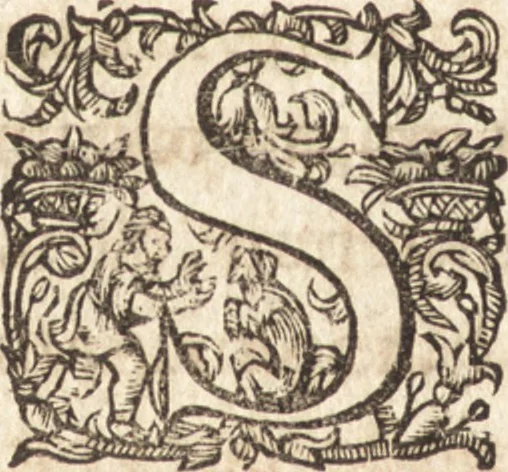 An illustration from Ivsti LipsI Lovanivm, id est, Opidi et academiæ eivs descriptio, libri tres, 1610, leaf 107