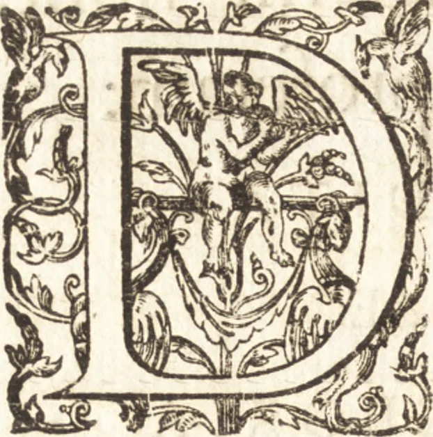 An illustration from Ivsti LipsI Lovanivm, id est, Opidi et academiæ eivs descriptio, libri tres, 1610, leaf 11