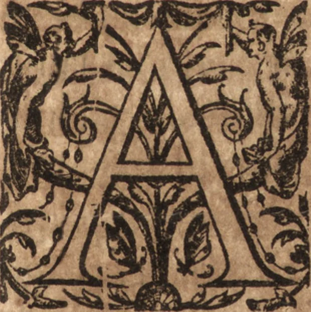 An illustration from Ivsti LipsI Lovanivm, id est, Opidi et academiæ eivs descriptio, libri tres, 1610, leaf 12