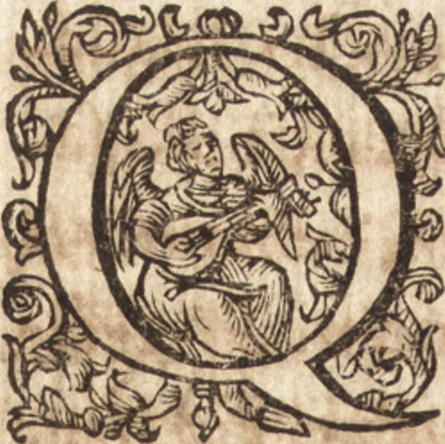 An illustration from Ivsti LipsI Lovanivm, id est, Opidi et academiæ eivs descriptio, libri tres, 1610, leaf 55