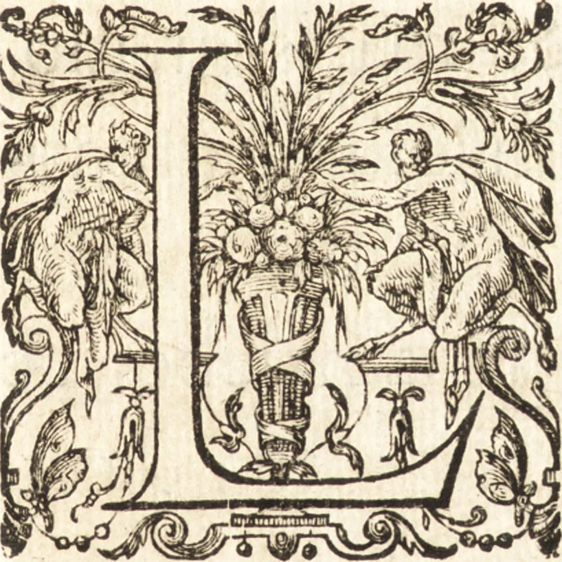 An illustration from Ivsti LipsI Lovanivm, id est, Opidi et academiæ eivs descriptio, libri tres, 1610, leaf 6
