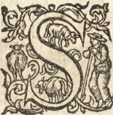 An illustration from Ivsti LipsI Poliorceticon, siue, De machinis, tormentis, telis, libri qvinqve : ad historiarum lucem, 1605, leaf 177