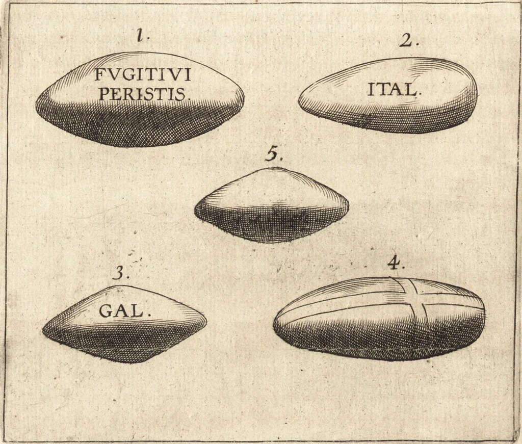 An illustration from Ivsti LipsI Poliorceticon, siue, De machinis, tormentis, telis, libri qvinqve : ad historiarum lucem, 1605, leaf 209