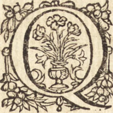 An illustration from Ivsti LipsI Poliorceticon, siue, De machinis, tormentis, telis, libri qvinqve : ad historiarum lucem, 1605, leaf 255