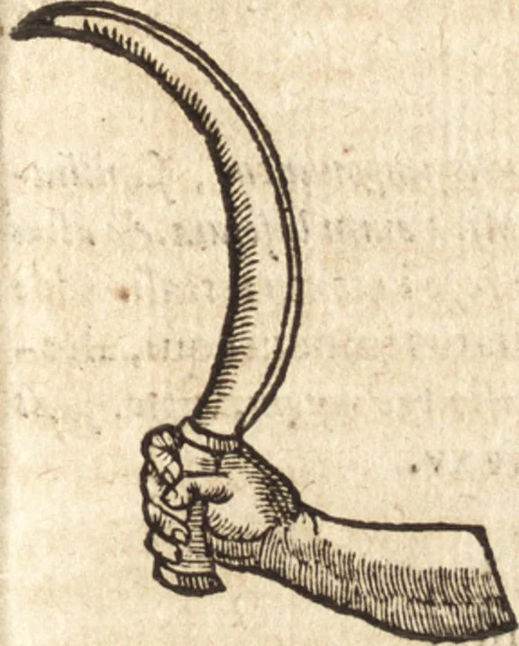 An illustration from Ivsti LipsI Poliorceticon, siue, De machinis, tormentis, telis, libri qvinqve : ad historiarum lucem, 1605, leaf 26