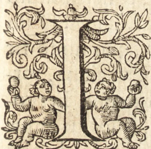 An illustration from Ivsti LipsI Poliorceticon, siue, De machinis, tormentis, telis, libri qvinqve : ad historiarum lucem, 1605, leaf 52